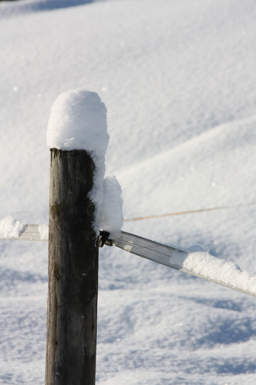 Winterlandschaft Hard 053_JPG-1355334345
