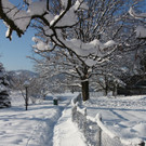Winterlandschaft Hard 063_JPG-1355334581