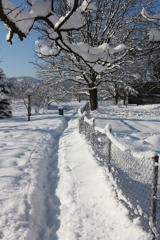 Winterlandschaft Hard 063_JPG-1355334581