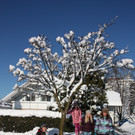 Winterlandschaft Hard 067_JPG-1355334765