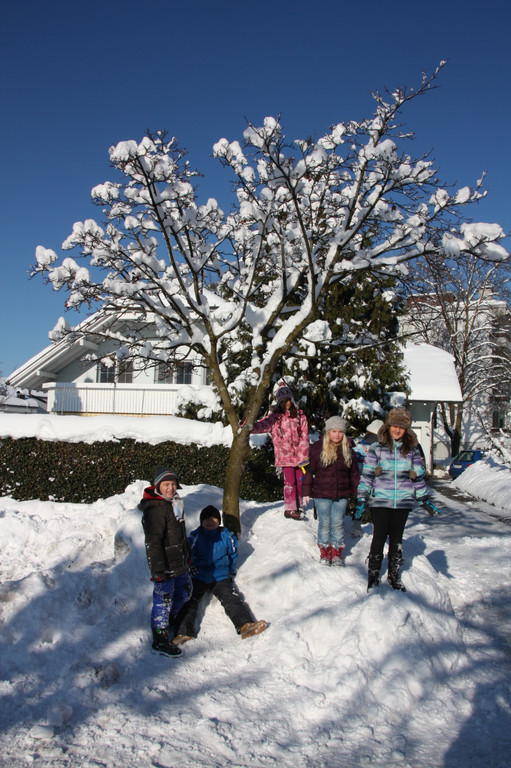 Winterlandschaft Hard 067_JPG-1355334765