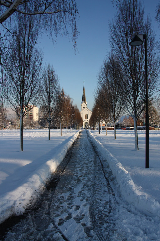 Winterlandschaft Hard 116_JPG-1355335391