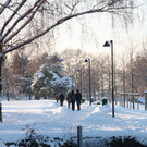 Winterlandschaft Hard 118_JPG-1355335520