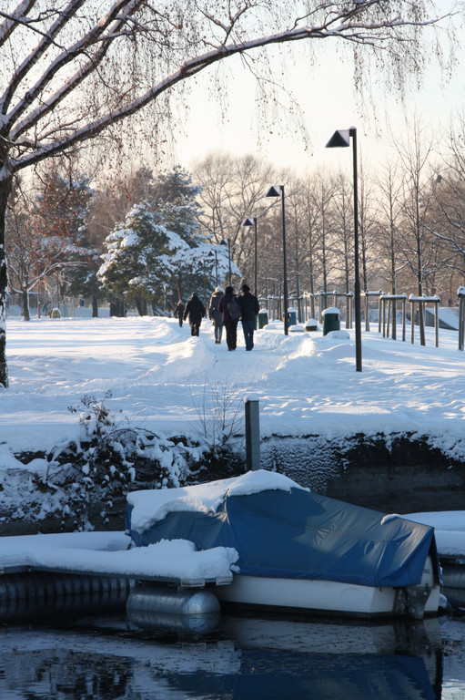 Winterlandschaft Hard 118_JPG-1355335520