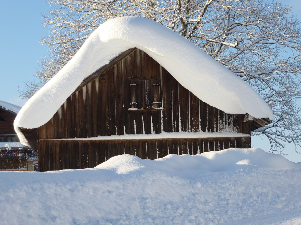 P1000513_JPG-1355333202