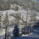 DSC06489.JPG