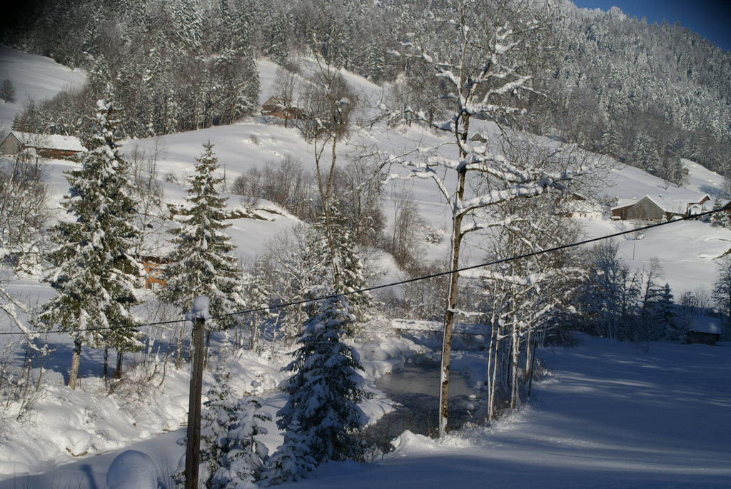 DSC06489.JPG