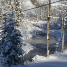 DSC06490.JPG