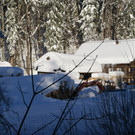 DSC06492.JPG