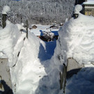 DSC05497.JPG