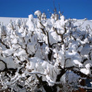 DSC05500.JPG
