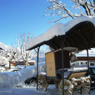 DSC05501.JPG