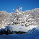 DSC05506.JPG