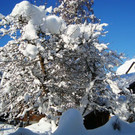 DSC05510.JPG