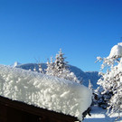 DSC05512.JPG
