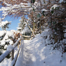 DSC00127_JPG-1355339484