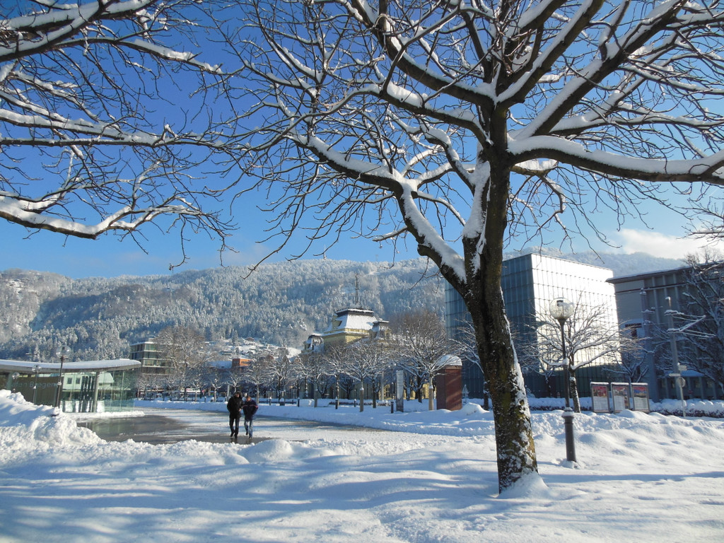 DSCN3035 2_JPG-1355339830