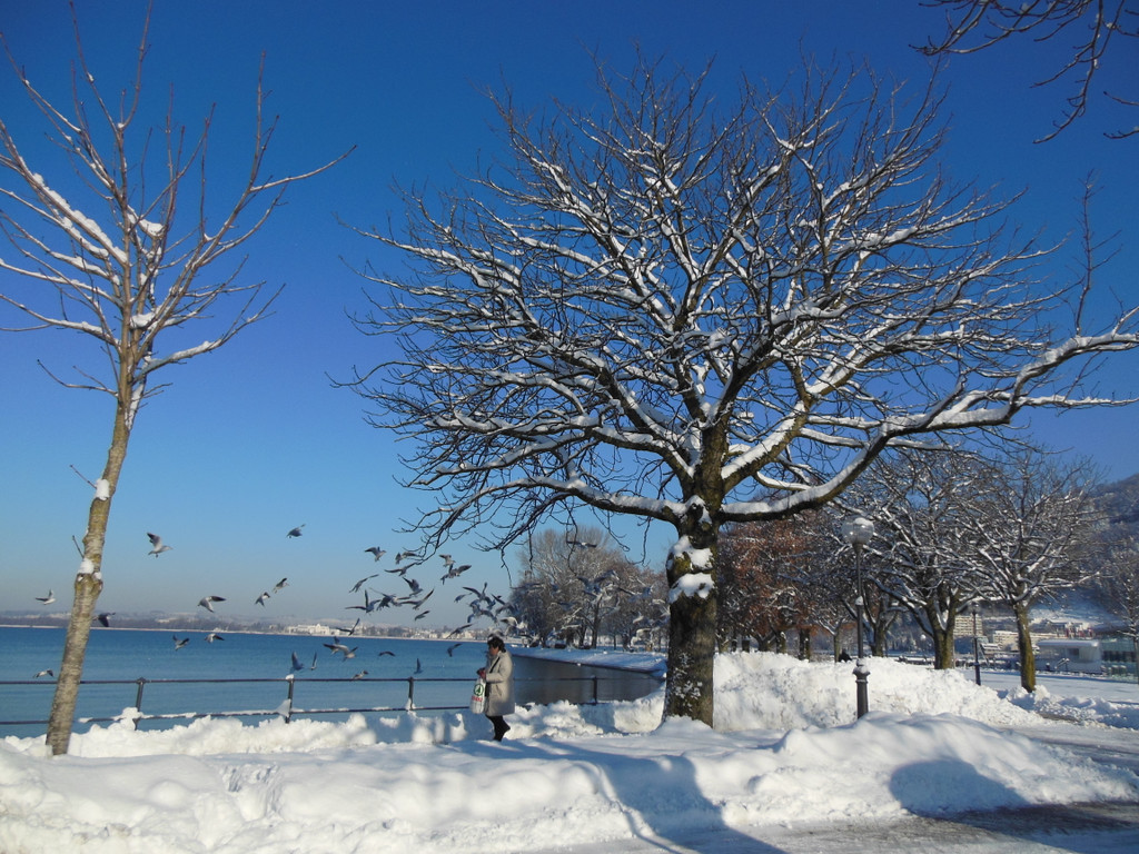 DSCN3036_JPG-1355339870