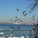 DSCN3038_JPG-1355339912