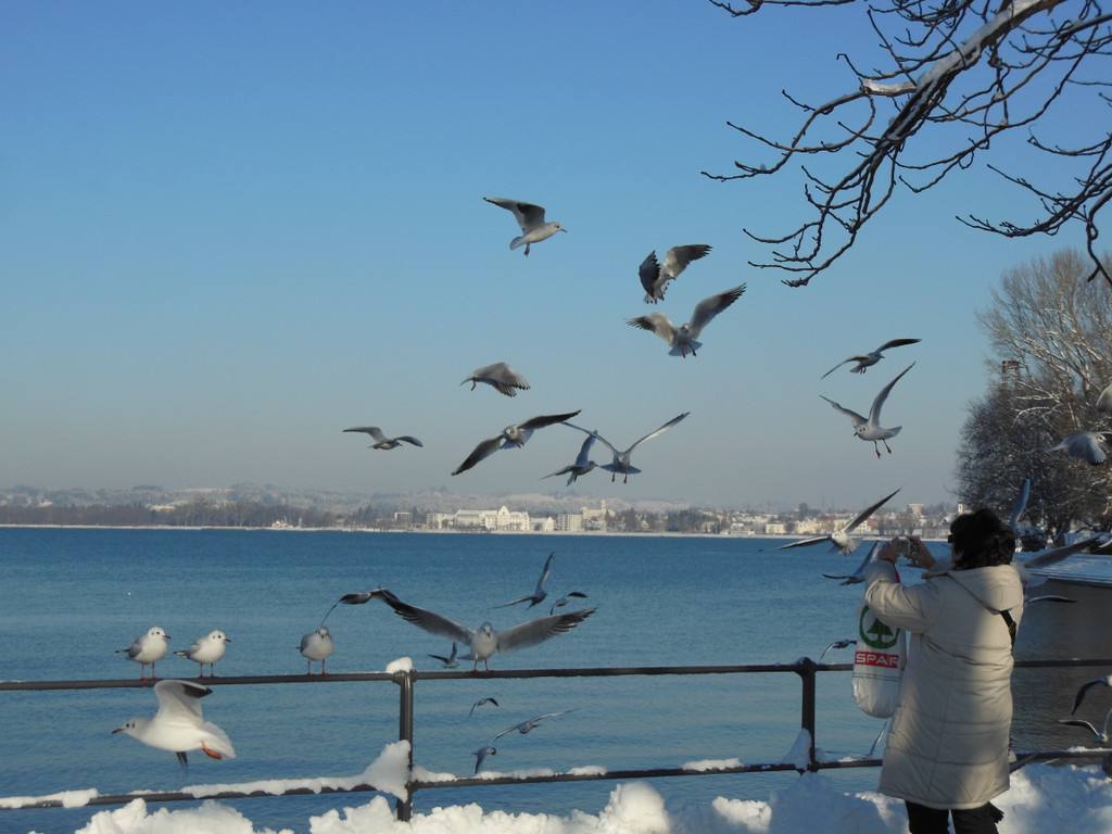 DSCN3038_JPG-1355339912