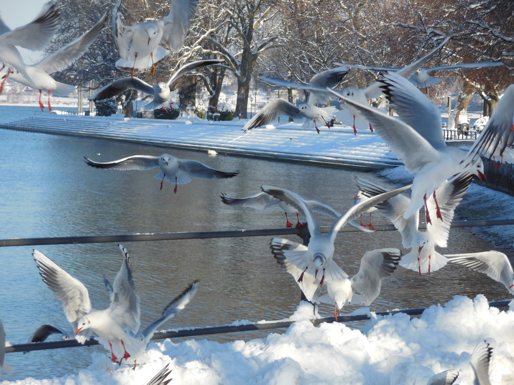 DSCN3041_JPG-1355340508