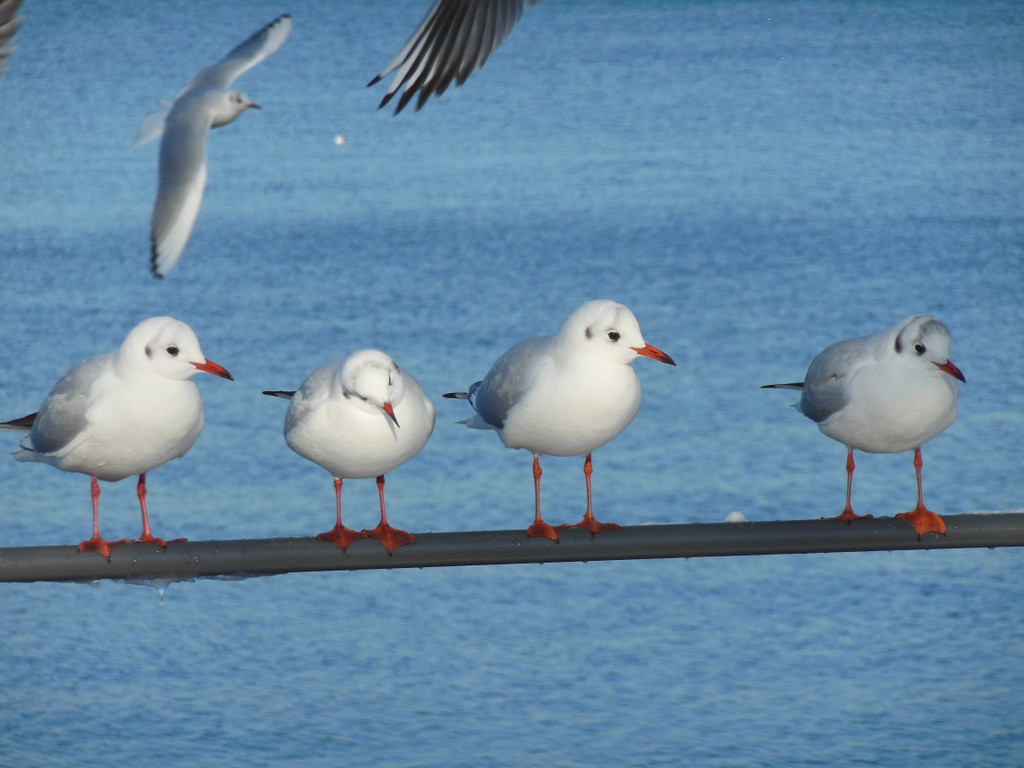 DSCN3040_JPG-1355339953