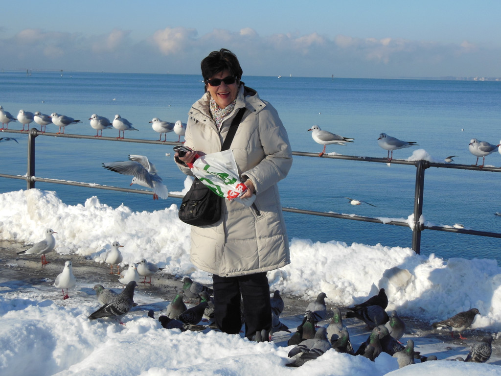 DSCN3044_JPG-1355339995