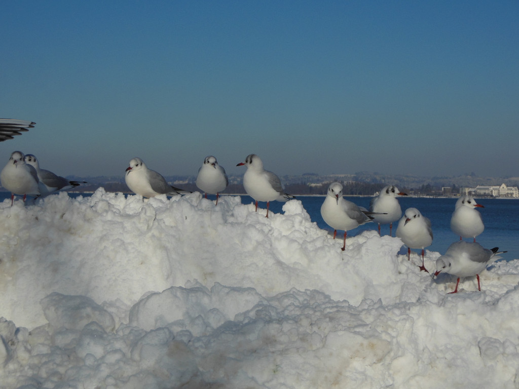 DSCN3052_JPG-1355340076