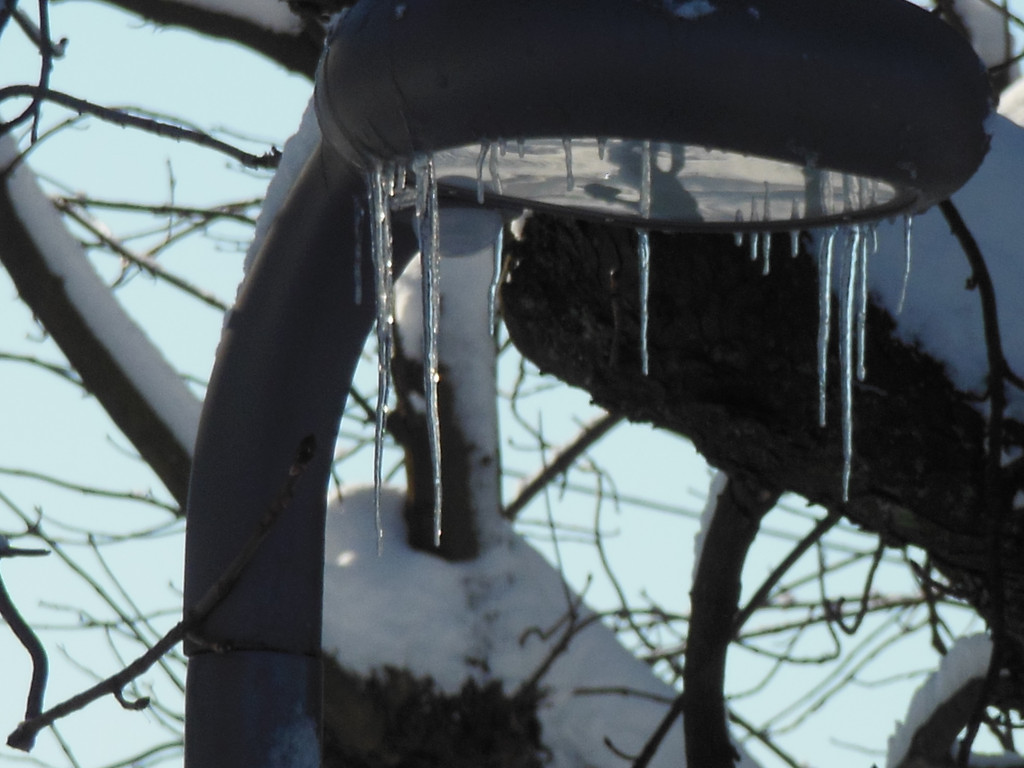 DSCN3057_JPG-1355340112