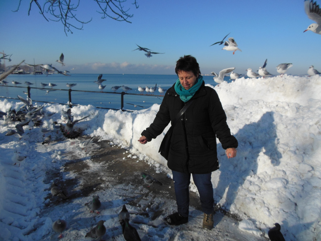 DSCN3050_JPG-1355340549