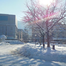 DSCN3055_JPG-1355340591