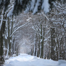 Winter in Lustenau