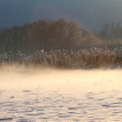 AlterRhein_2012-12-12_JPG-1355346484