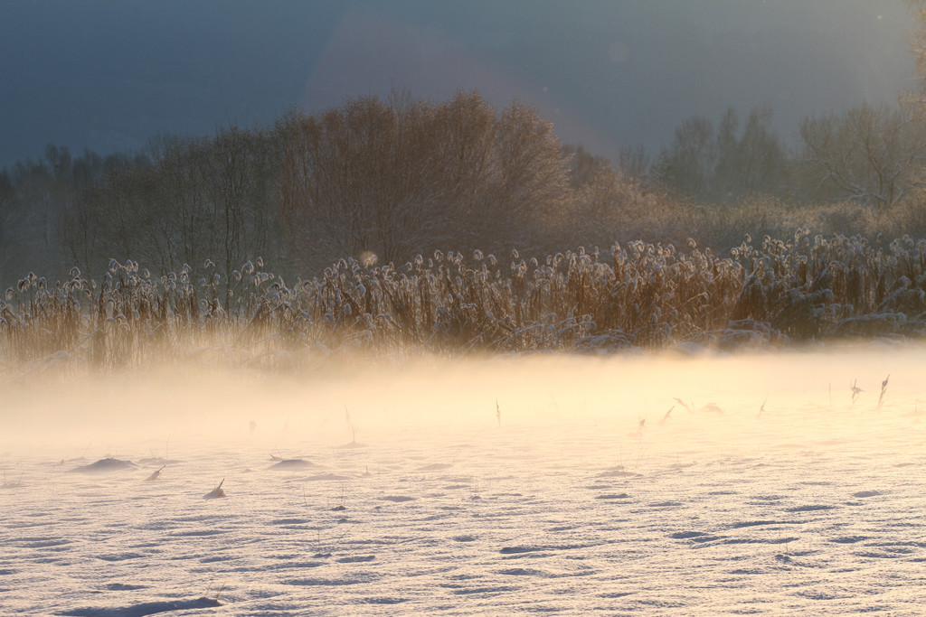 AlterRhein_2012-12-12_JPG-1355346484