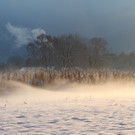 AlterRhein_2012-12-12 _1__JPG-1355346503