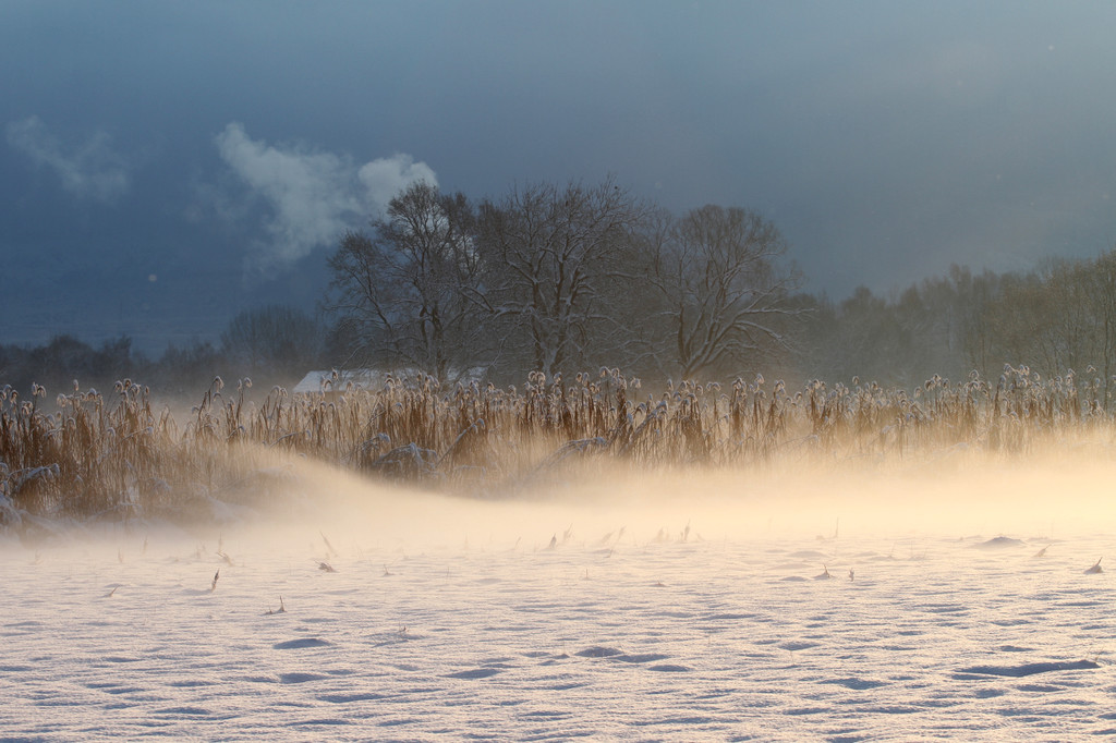 AlterRhein_2012-12-12 _1__JPG-1355346503