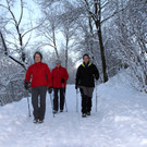 AlterRhein_2012-12-12 _4__JPG-1355346573