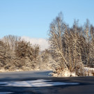 AlterRhein_2012-12-12 _5__JPG-1355346596