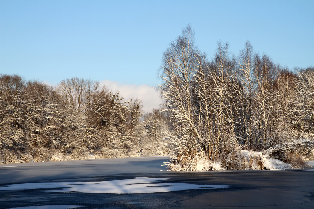 AlterRhein_2012-12-12 _5__JPG-1355346596