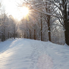 AlterRhein_2012-12-12 _9__JPG-1355346717