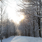 AlterRhein_2012-12-12 _10__JPG-1355346755