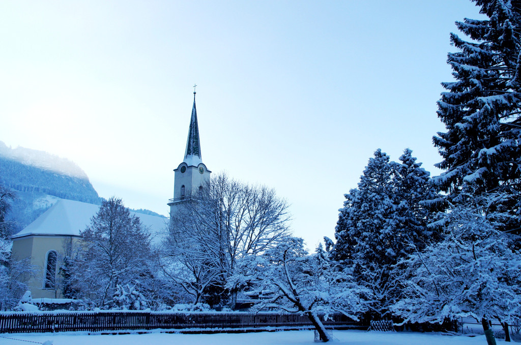 DSC00735_JPG-1355348810