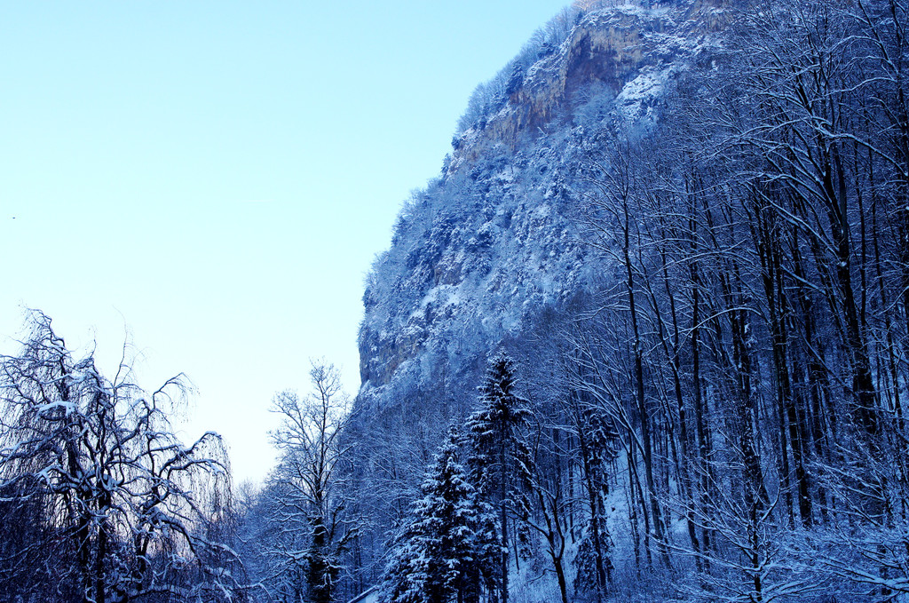 DSC00736_JPG-1355348825