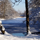 DSC00738_JPG-1355348840