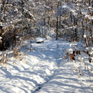 DSC00739_JPG-1355348855