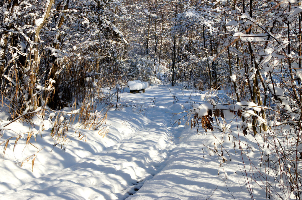 DSC00739_JPG-1355348855