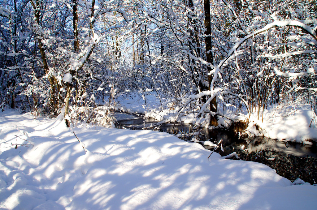 DSC00740_JPG-1355348869