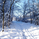 DSC00741_JPG-1355348883