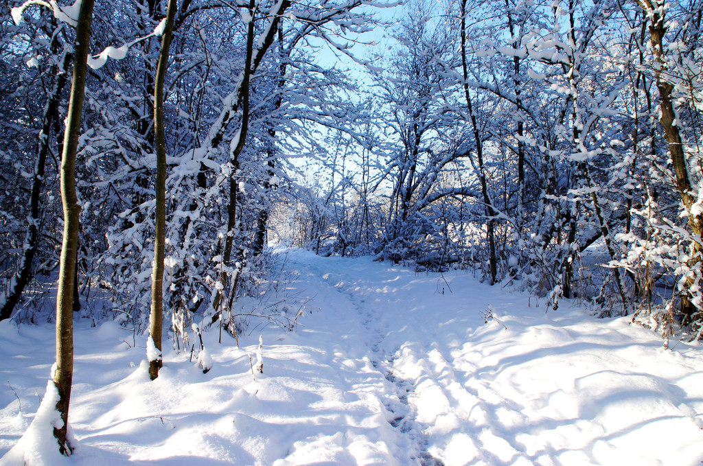 DSC00741_JPG-1355348883