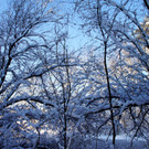 DSC00743_JPG-1355348911